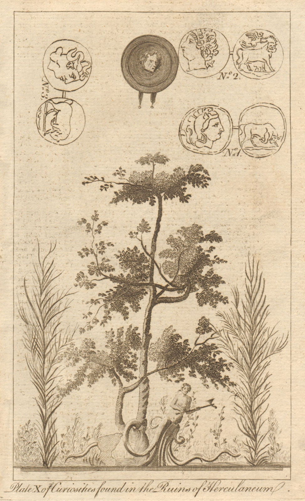 Herculaneum. Medusa's head shield. Dryad with hatchet. Greek coin Massillia 1774